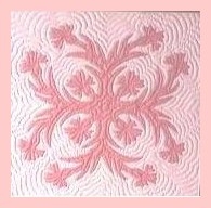 Carnation