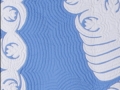 Echo Quiltig with Border