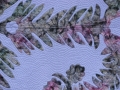 patechol