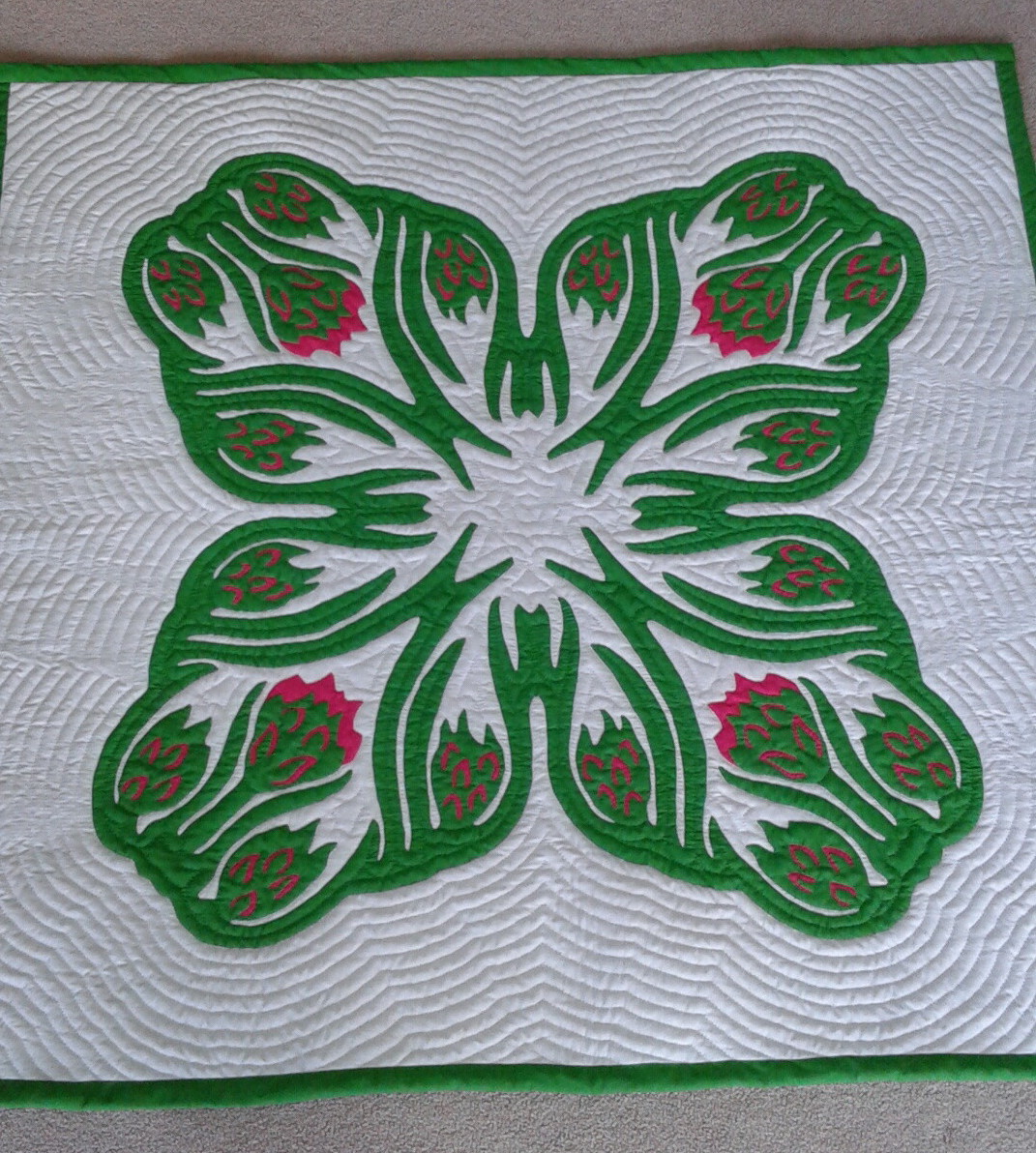 45x45 dragon fruit