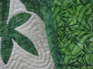 Quilt Backing