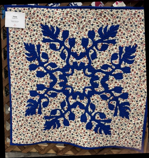 Texas_Bluebonnets