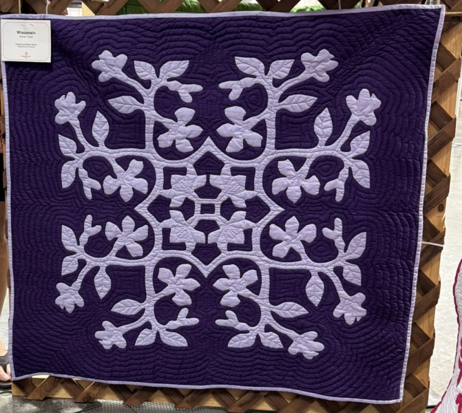 Wisconsin_Violet