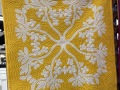 Idaho_Syringa_MockOrange