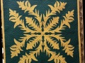 Kentucky_Goldenrod