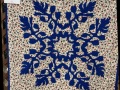 Texas_Bluebonnets