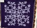 Wisconsin_Violet